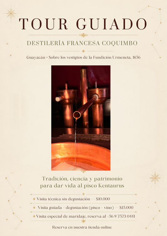 Alambique de cobre charentais en la Destilería Francesa Coquimbo, Guayacán