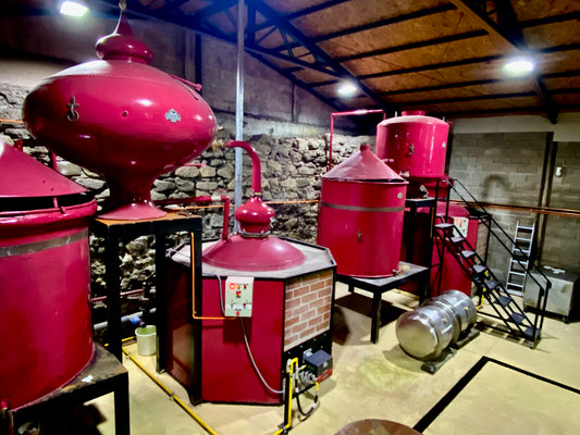 Tour Guiado en la Destilería Francesa Coquimbo